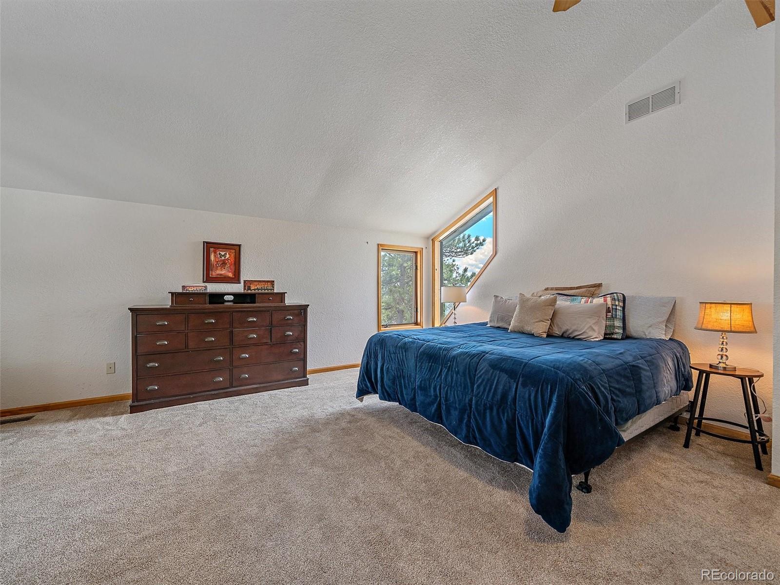 MLS Image #23 for 301  deer trail drive,bailey, Colorado