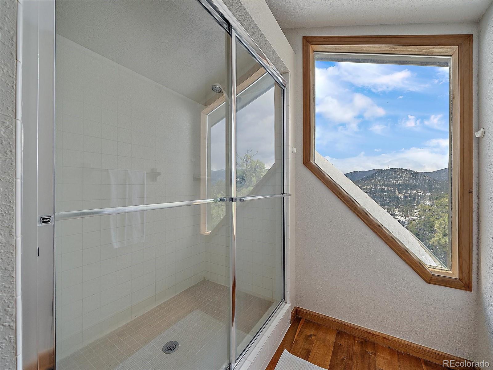 MLS Image #25 for 301  deer trail drive,bailey, Colorado