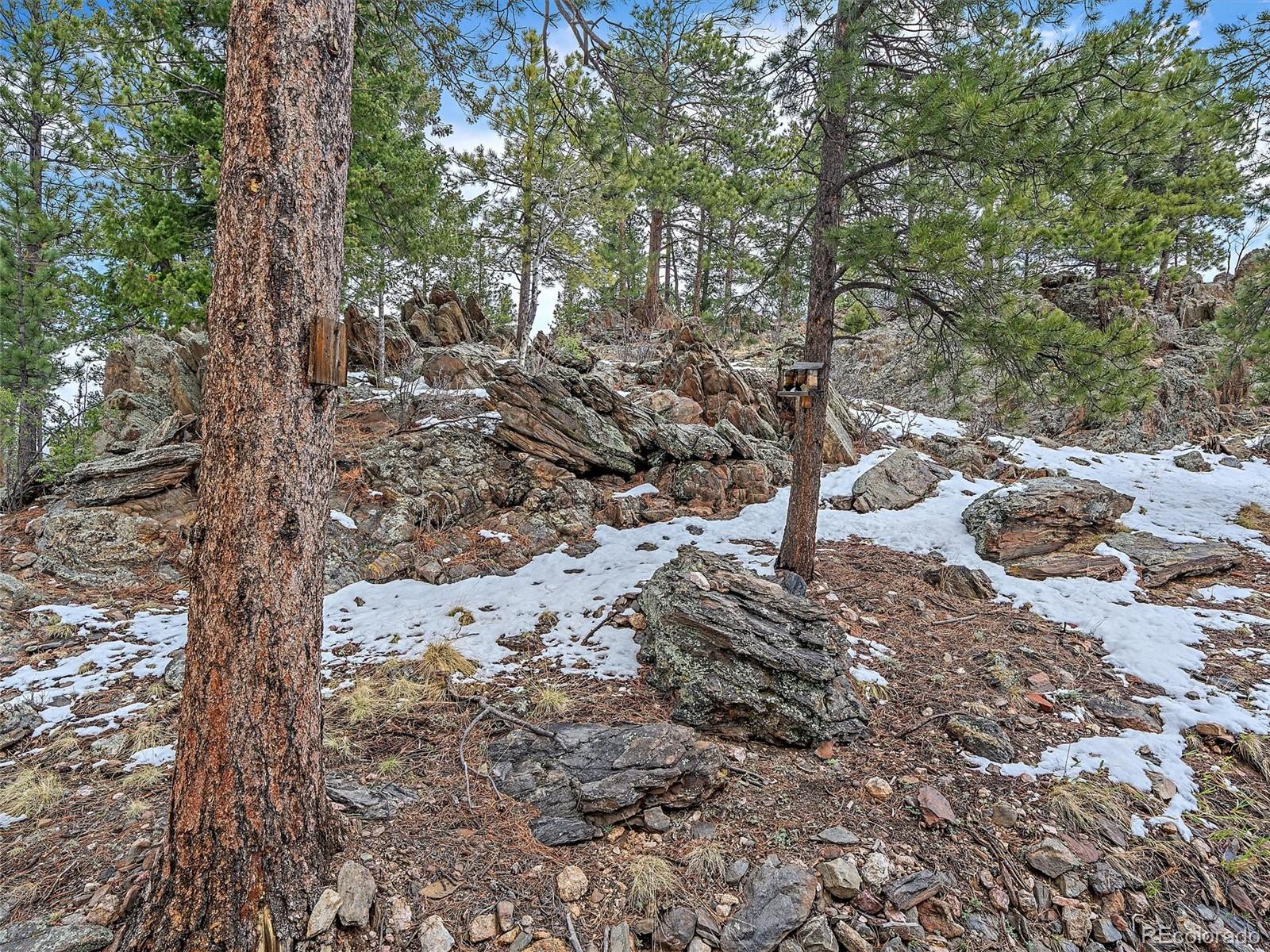 MLS Image #36 for 301  deer trail drive,bailey, Colorado