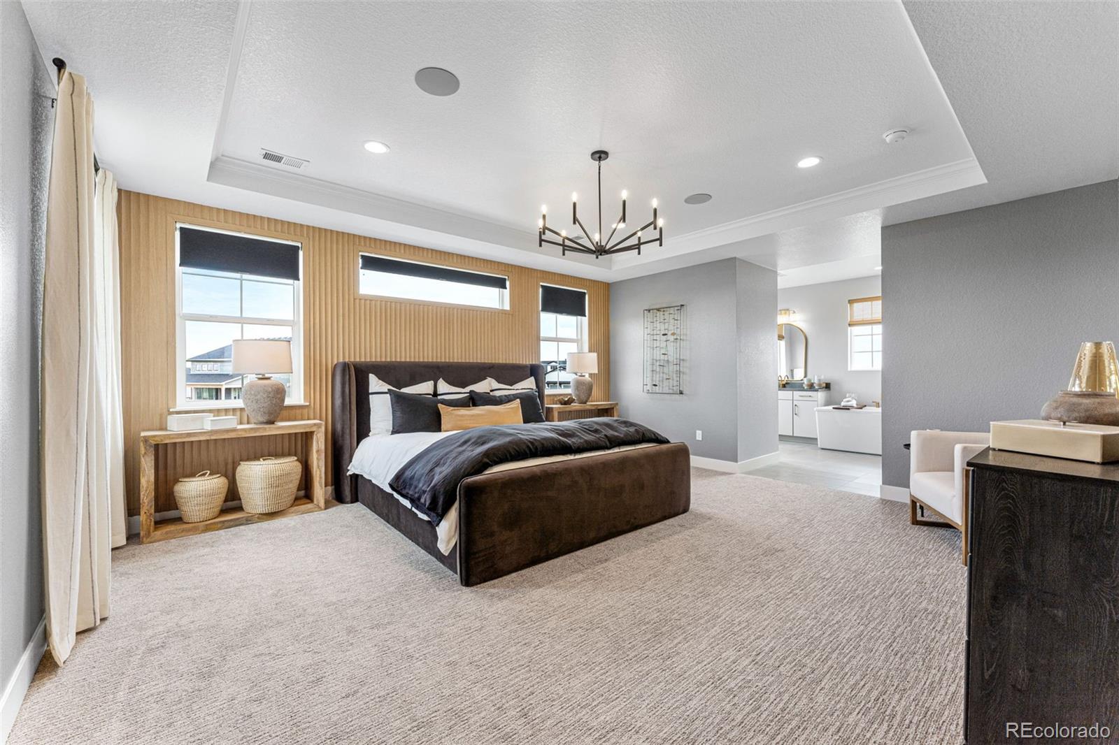 MLS Image #22 for 1667  fox trotter point,castle rock, Colorado
