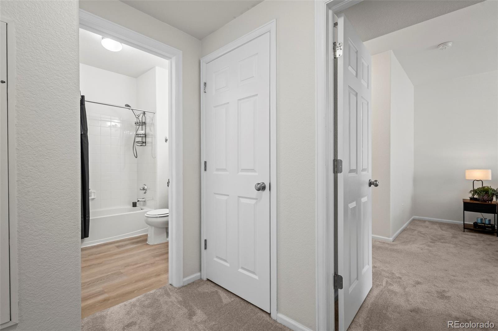 MLS Image #20 for 4451 s ammons street,littleton, Colorado