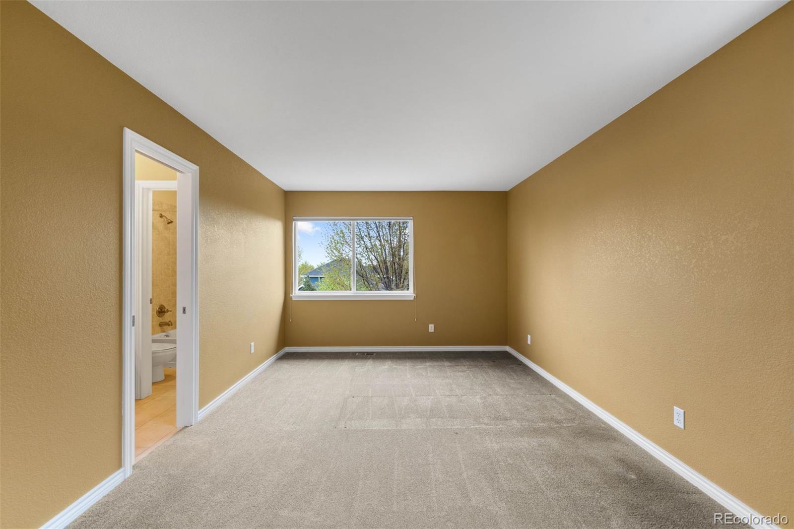 MLS Image #29 for 15348 w 75th place,arvada, Colorado