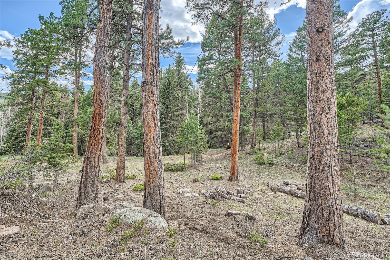 MLS Image #22 for 28669  mountain view road,conifer, Colorado