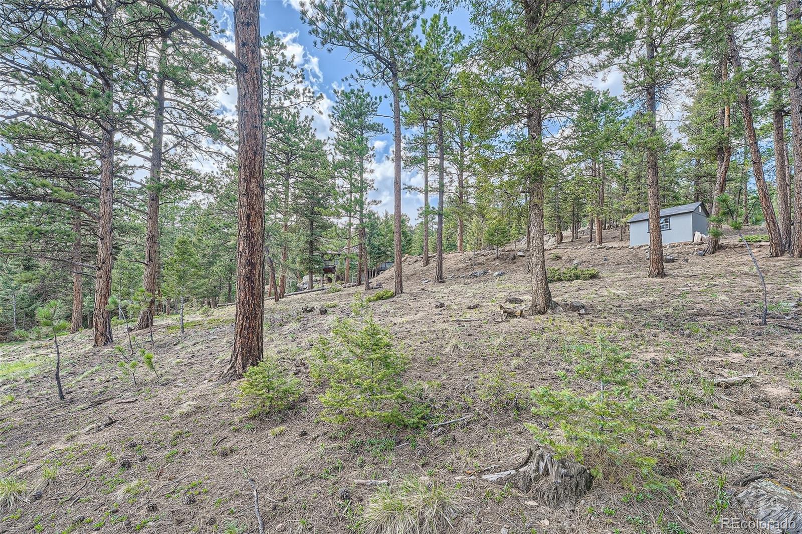 MLS Image #29 for 28669  mountain view road,conifer, Colorado