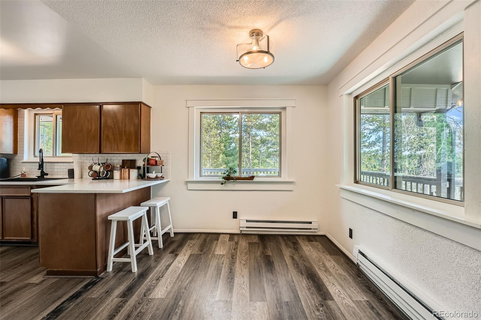MLS Image #3 for 28669  mountain view road,conifer, Colorado