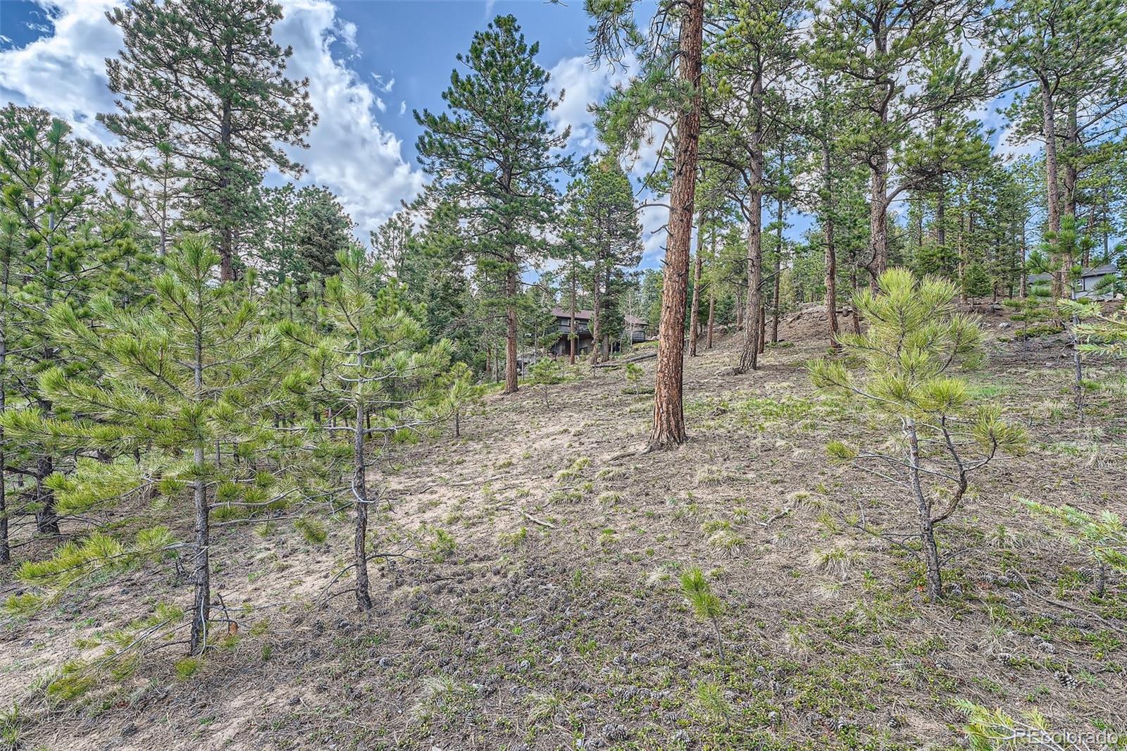 MLS Image #30 for 28669  mountain view road,conifer, Colorado