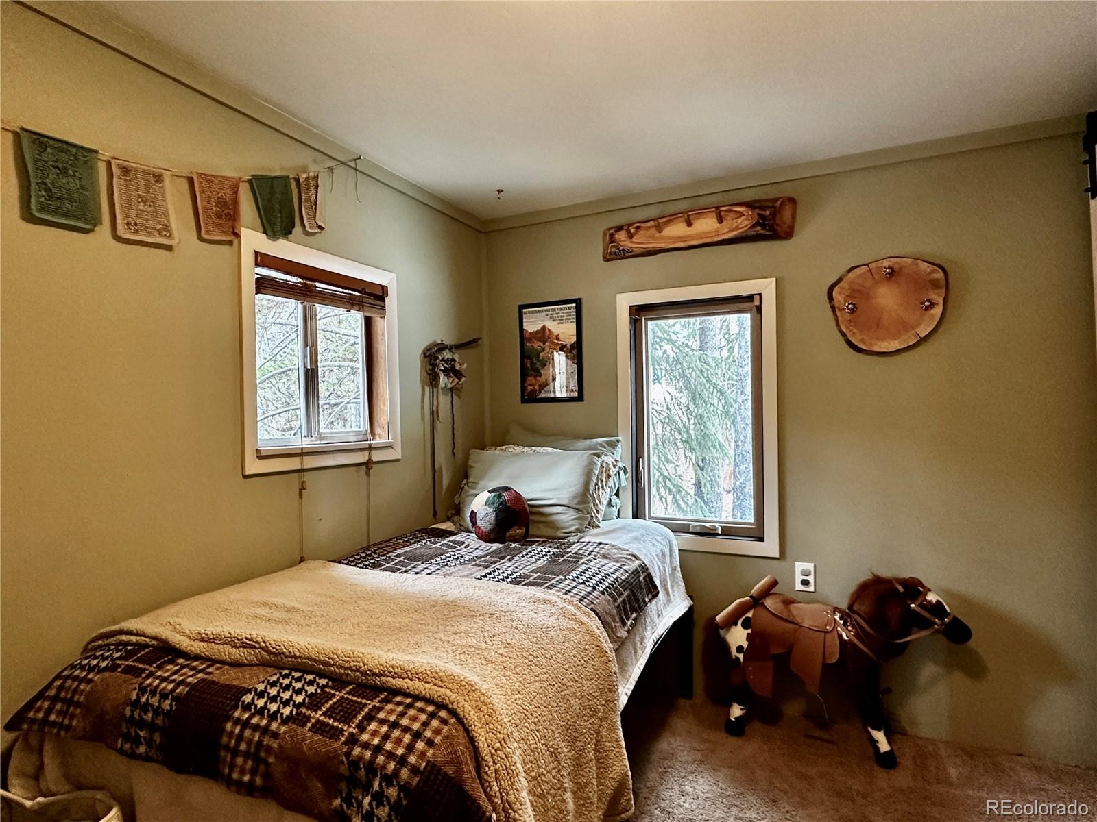 MLS Image #15 for 107 e dream home drive,leadville, Colorado