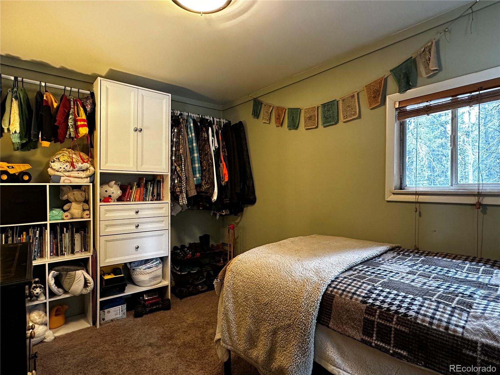 MLS Image #16 for 107 e dream home drive,leadville, Colorado