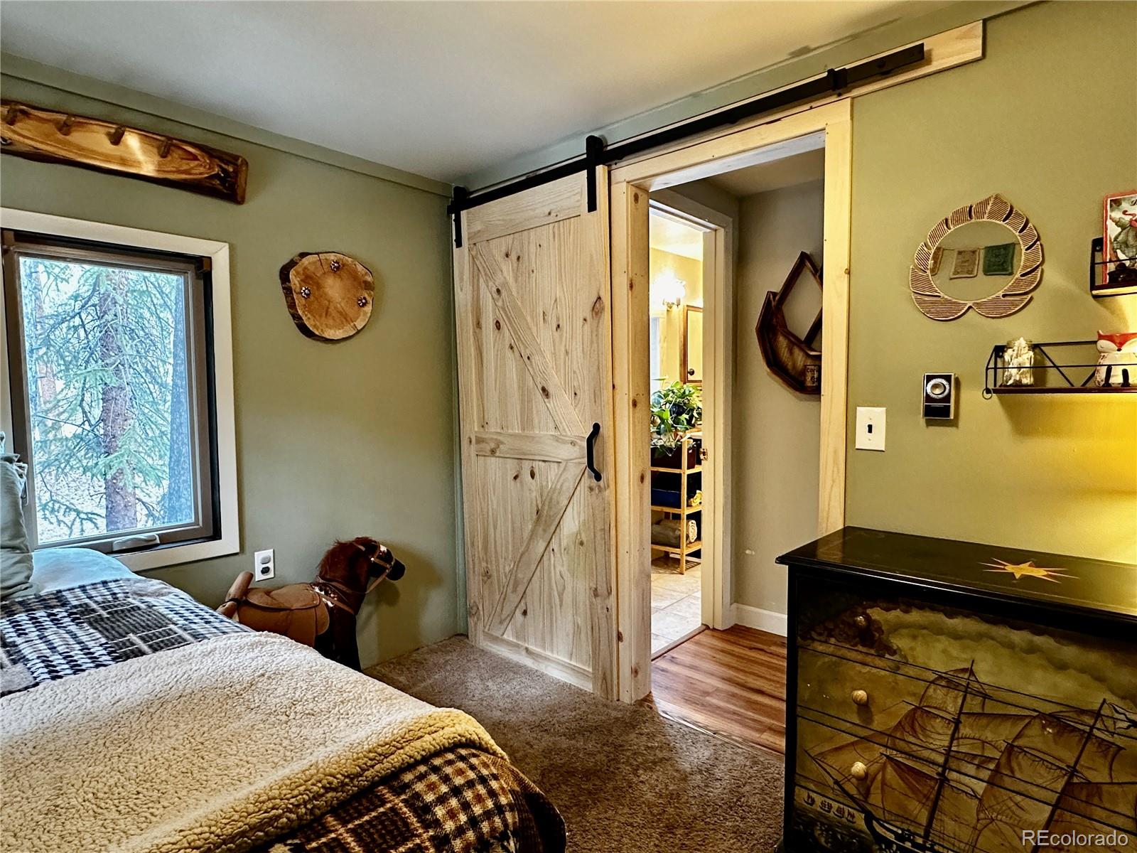 MLS Image #17 for 107 e dream home drive,leadville, Colorado