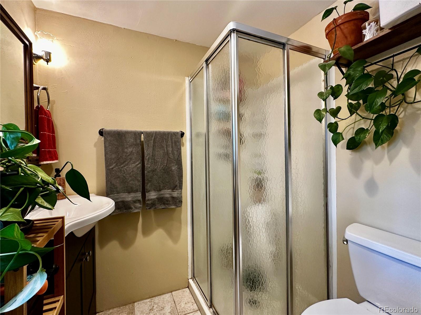 MLS Image #18 for 107 e dream home drive,leadville, Colorado