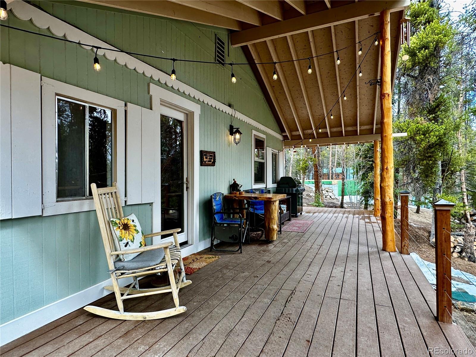 MLS Image #2 for 107 e dream home drive,leadville, Colorado