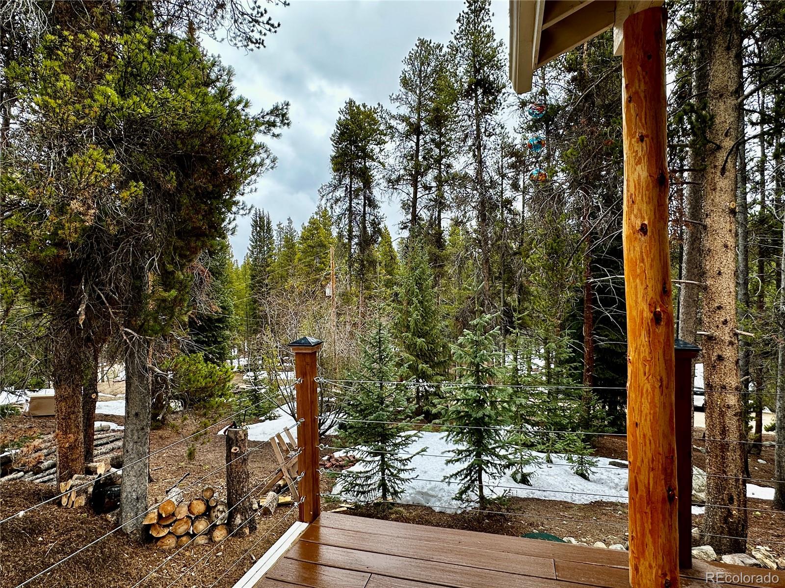 MLS Image #20 for 107 e dream home drive,leadville, Colorado