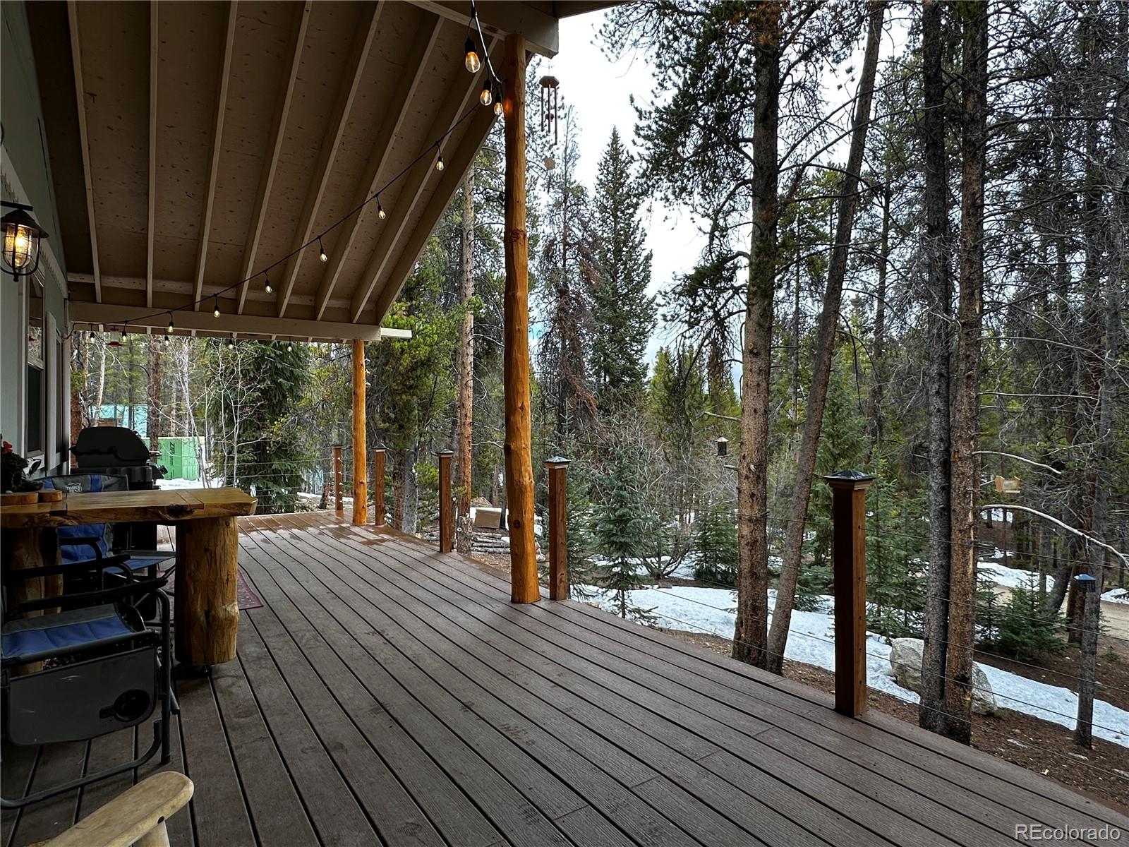 MLS Image #21 for 107 e dream home drive,leadville, Colorado