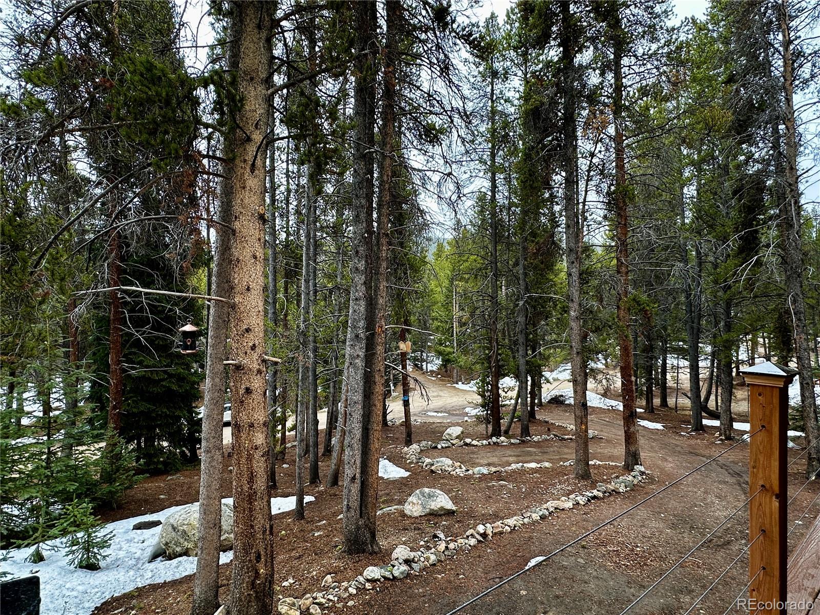 MLS Image #29 for 107 e dream home drive,leadville, Colorado