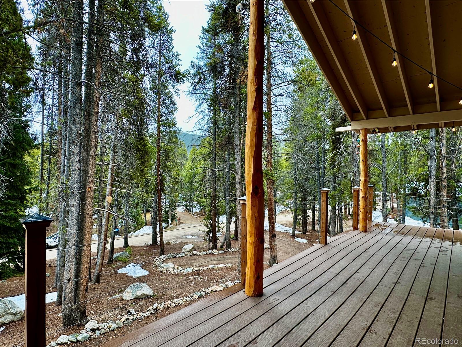 MLS Image #3 for 107 e dream home drive,leadville, Colorado