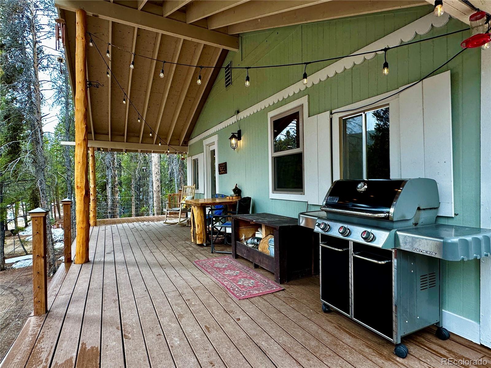 MLS Image #4 for 107 e dream home drive,leadville, Colorado