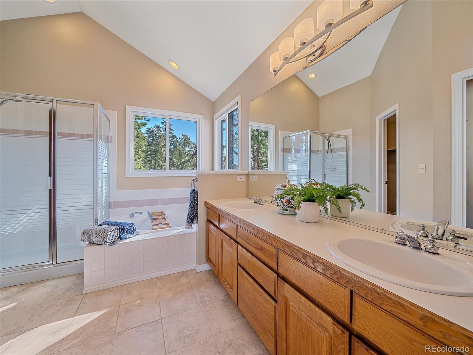 MLS Image #21 for 4228  scenic village drive,evergreen, Colorado