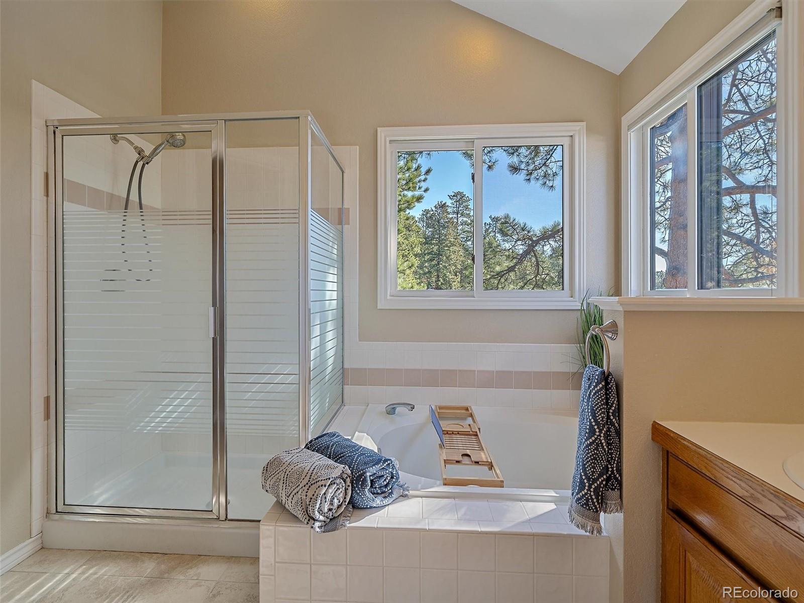 MLS Image #22 for 4228  scenic village drive,evergreen, Colorado