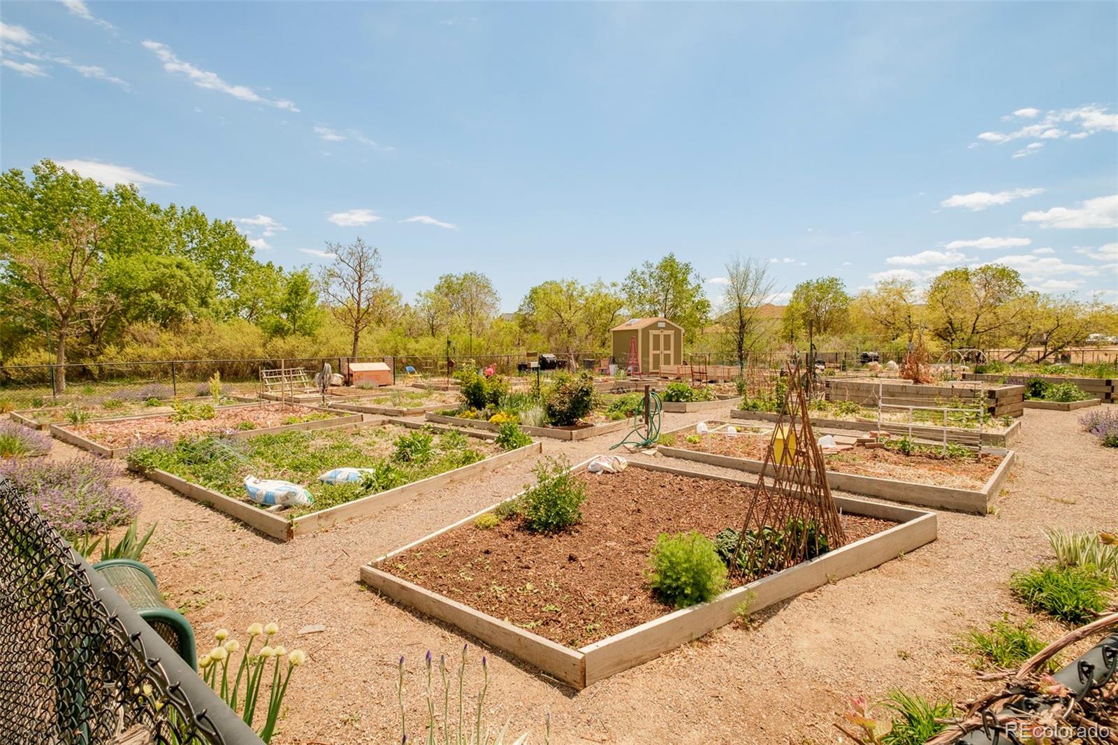 MLS Image #36 for 7777 e 23rd avenue,denver, Colorado