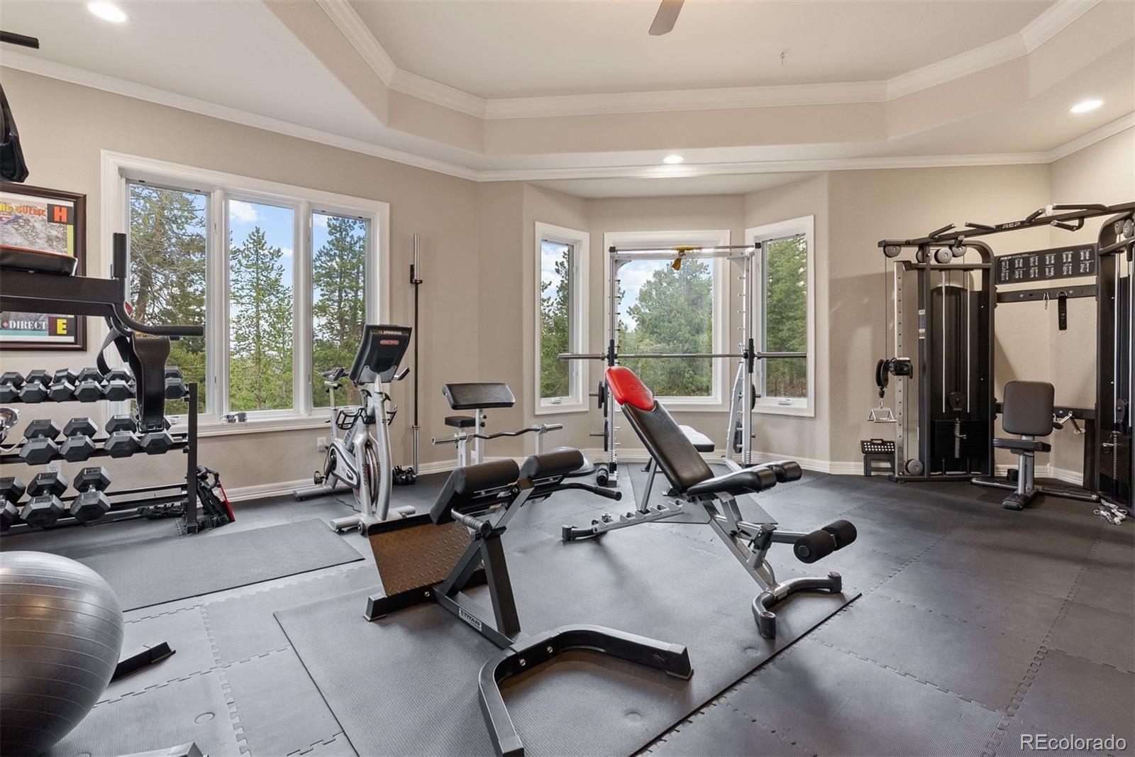 MLS Image #16 for 11406  conifer ridge drive,conifer, Colorado