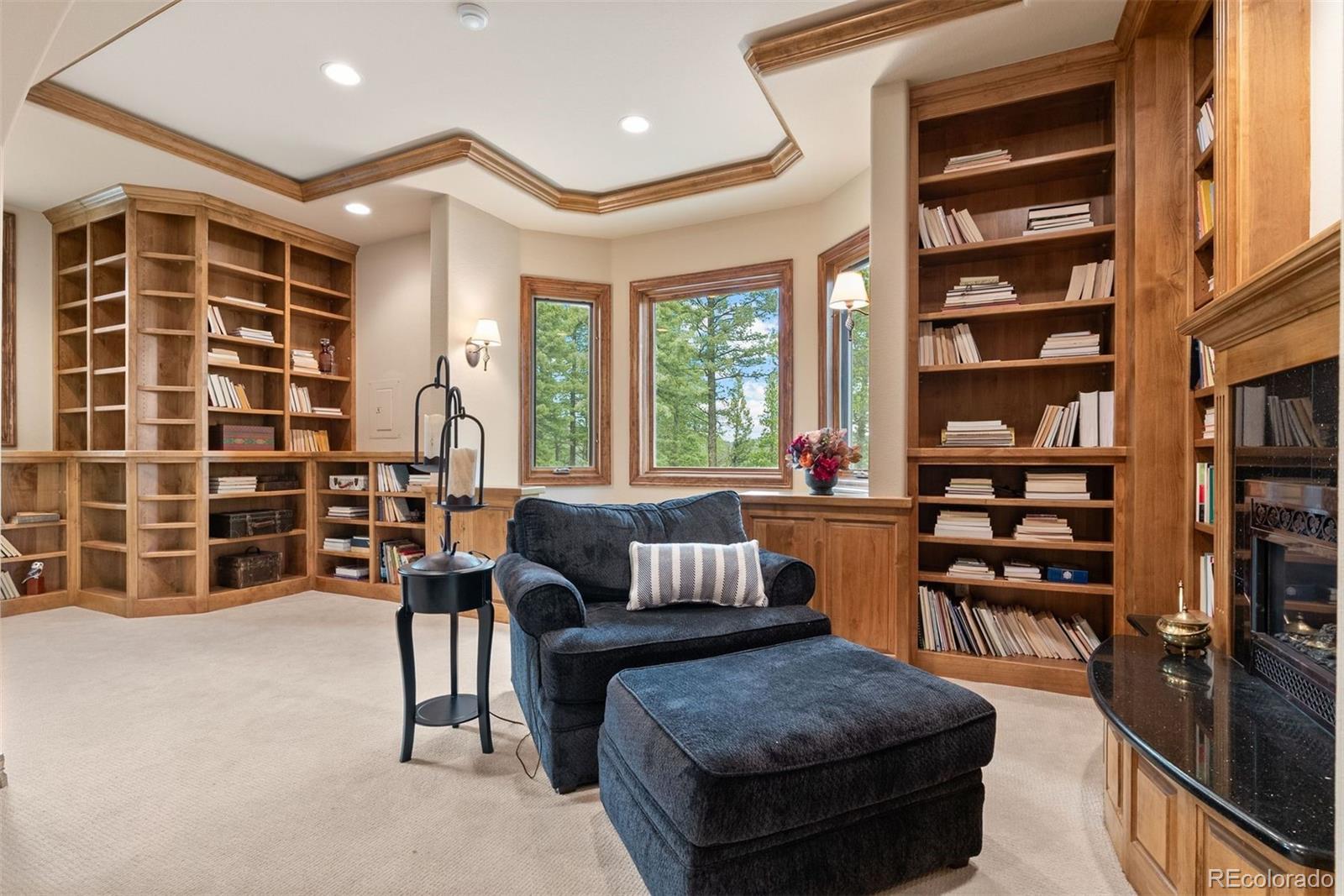 MLS Image #22 for 11406  conifer ridge drive,conifer, Colorado