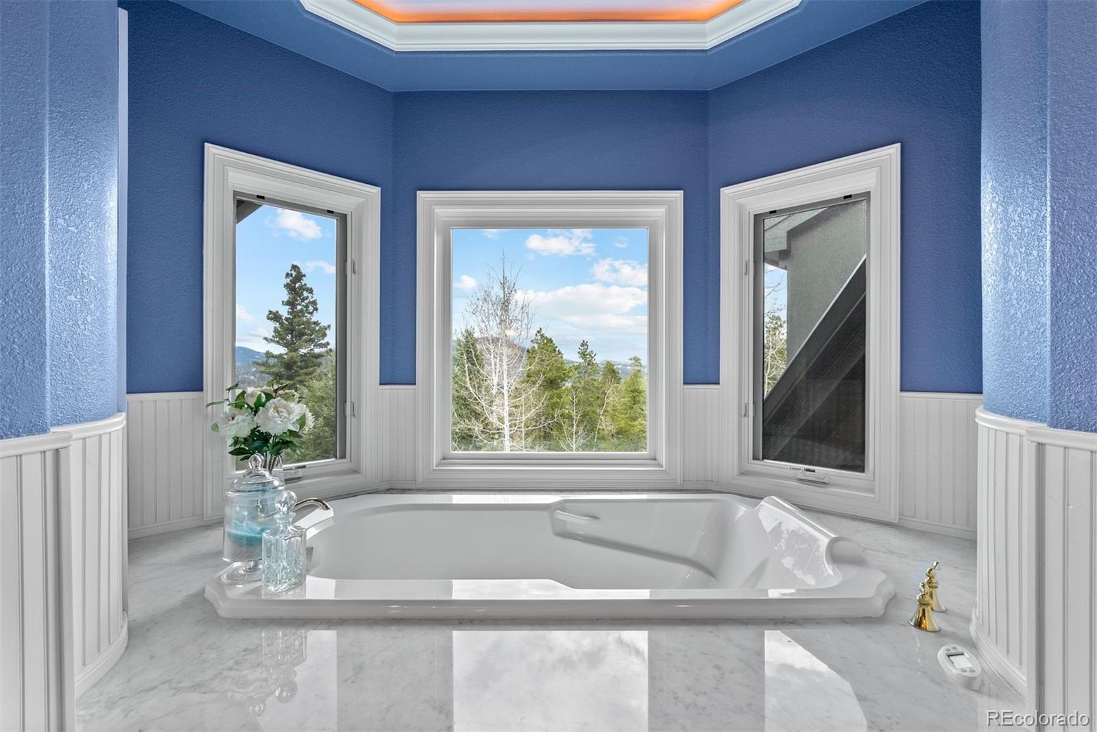MLS Image #35 for 11406  conifer ridge drive,conifer, Colorado