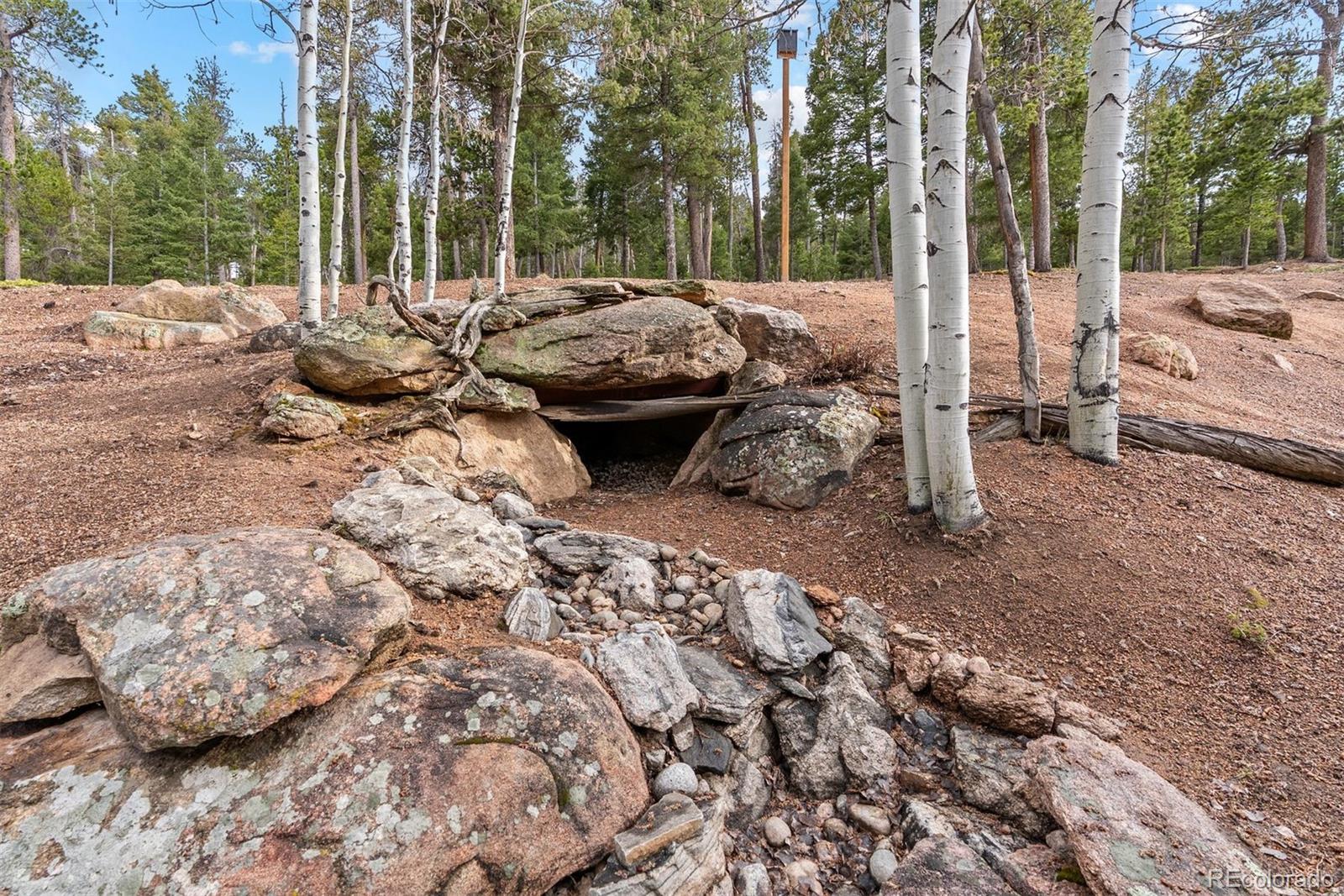 MLS Image #44 for 11406  conifer ridge drive,conifer, Colorado