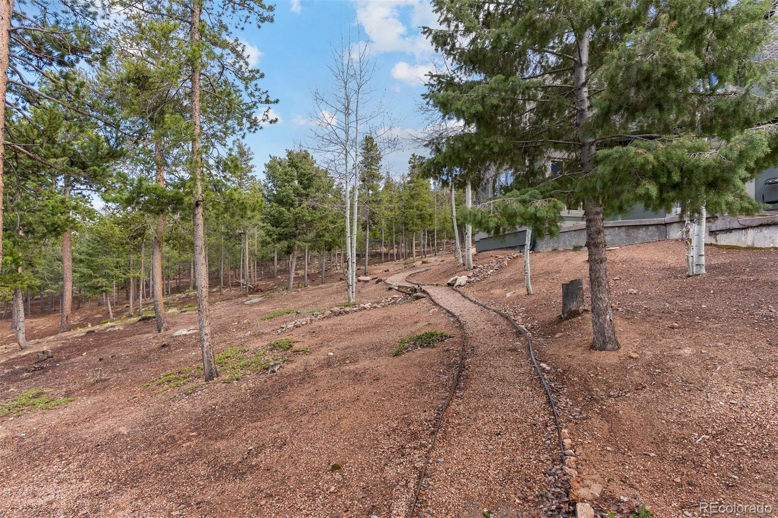 MLS Image #45 for 11406  conifer ridge drive,conifer, Colorado