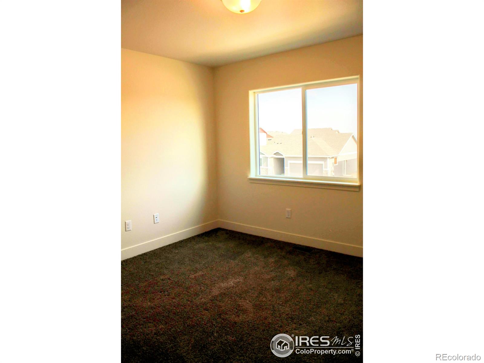 MLS Image #19 for 455  luminous drive,windsor, Colorado