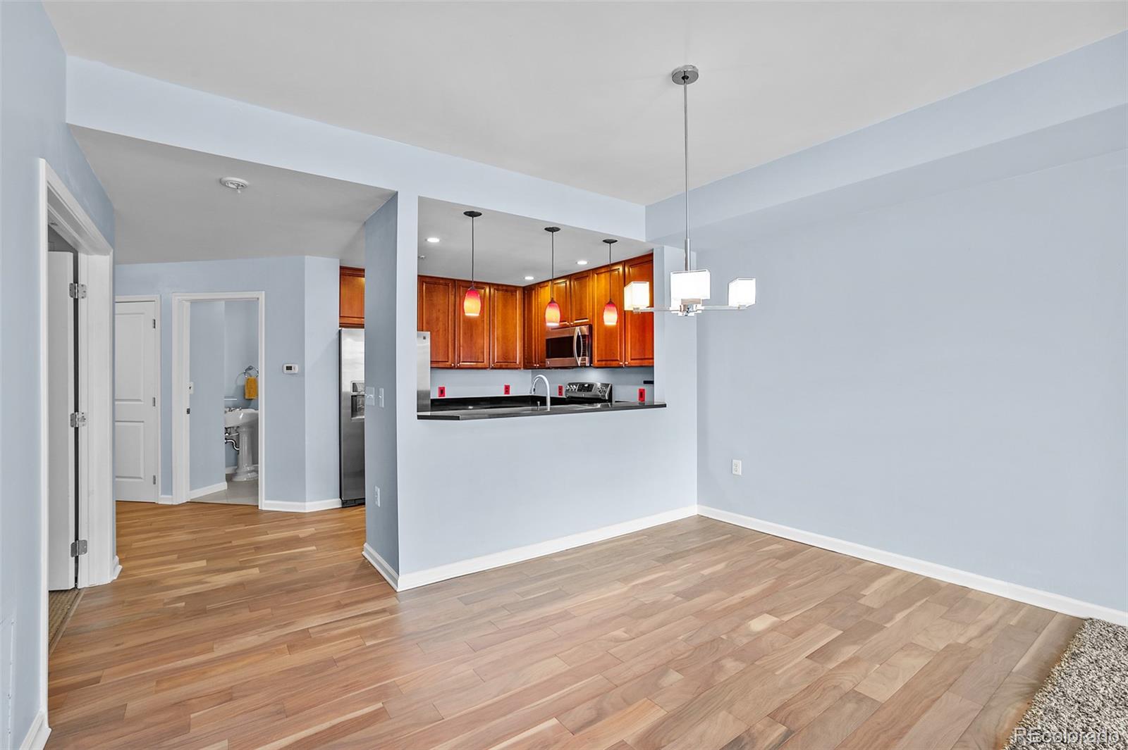 MLS Image #6 for 975 n lincoln street,denver, Colorado