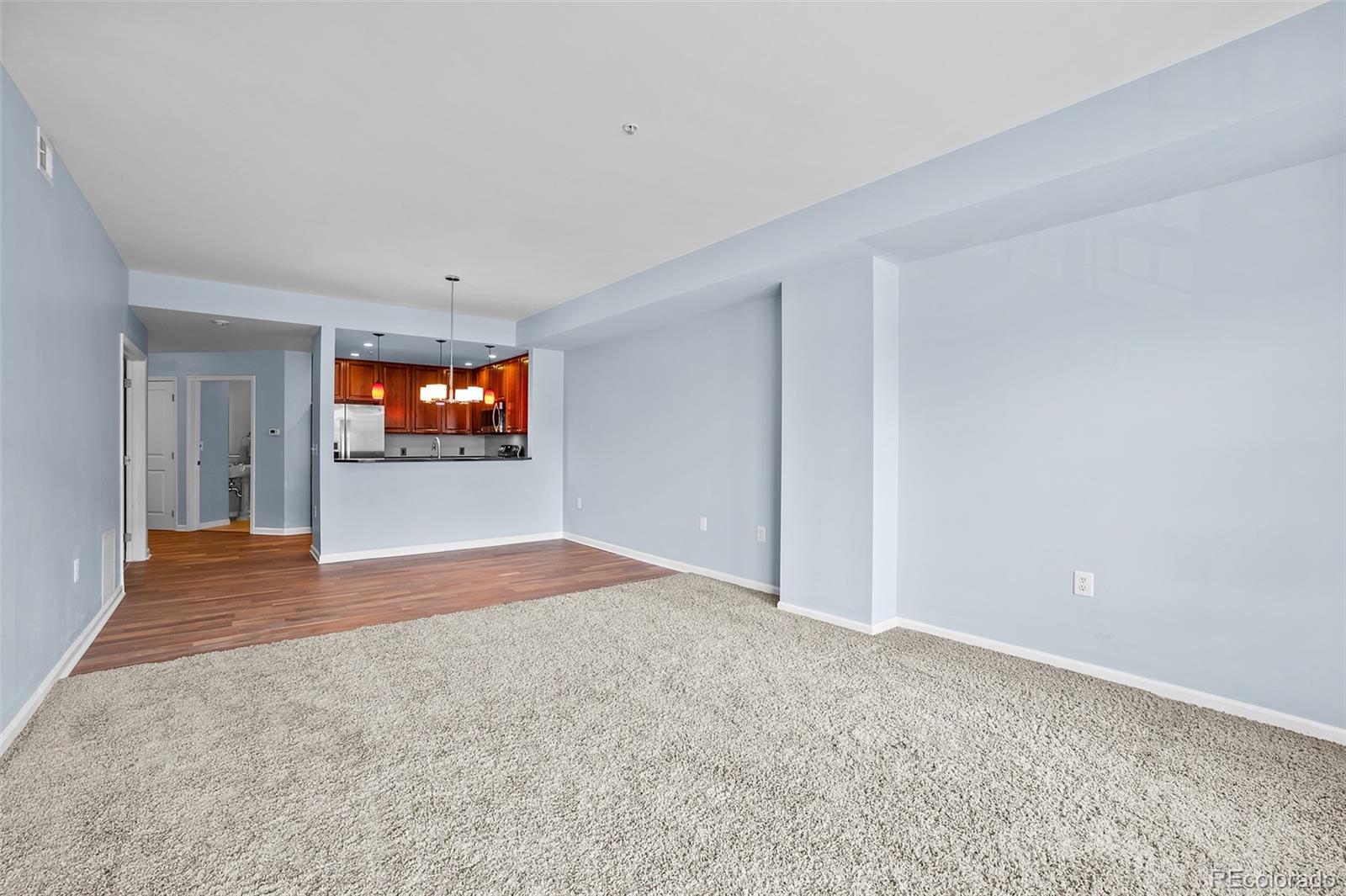 MLS Image #9 for 975 n lincoln street,denver, Colorado
