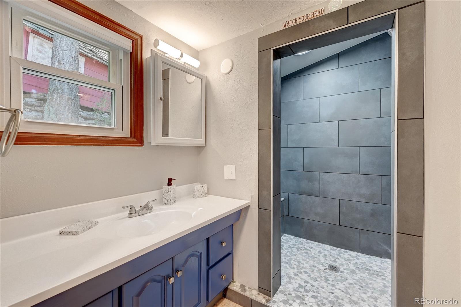 MLS Image #18 for 4642  plettner lane,evergreen, Colorado