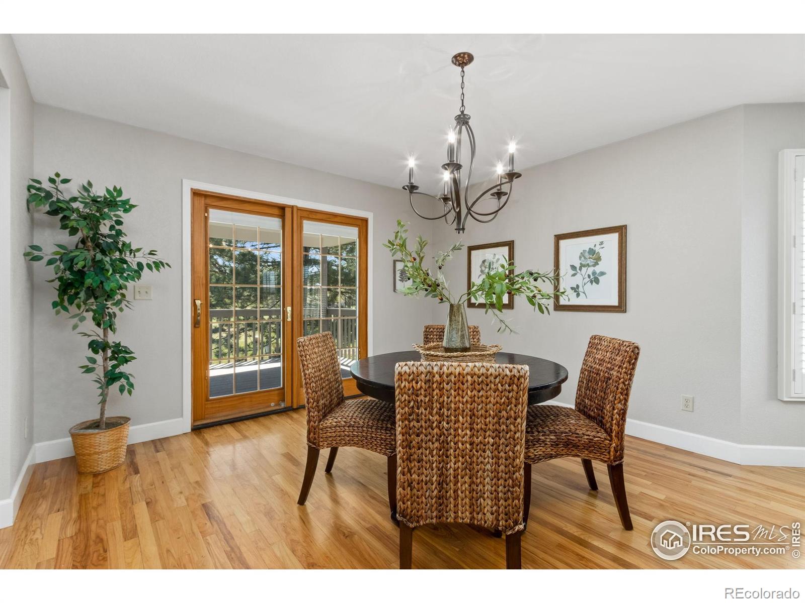 MLS Image #8 for 5630  wingfoot drive,fort collins, Colorado