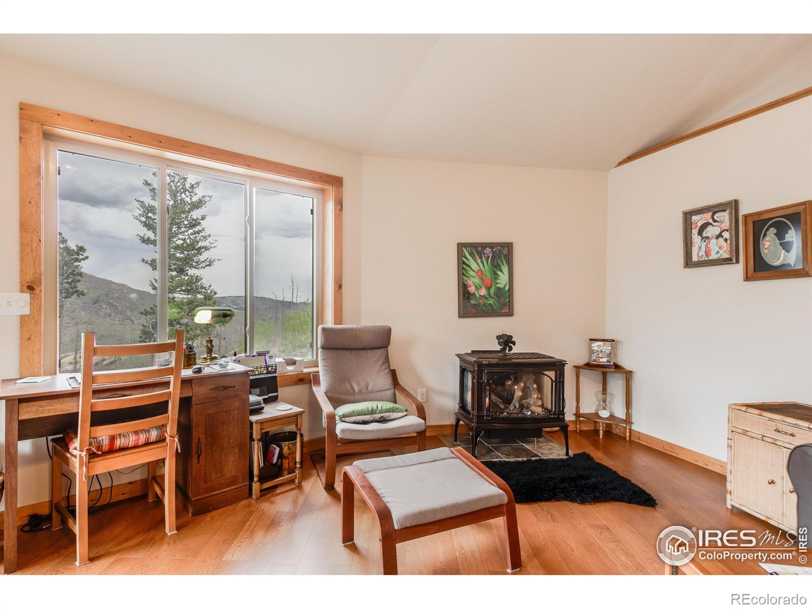 MLS Image #17 for 1629  gold run road,boulder, Colorado