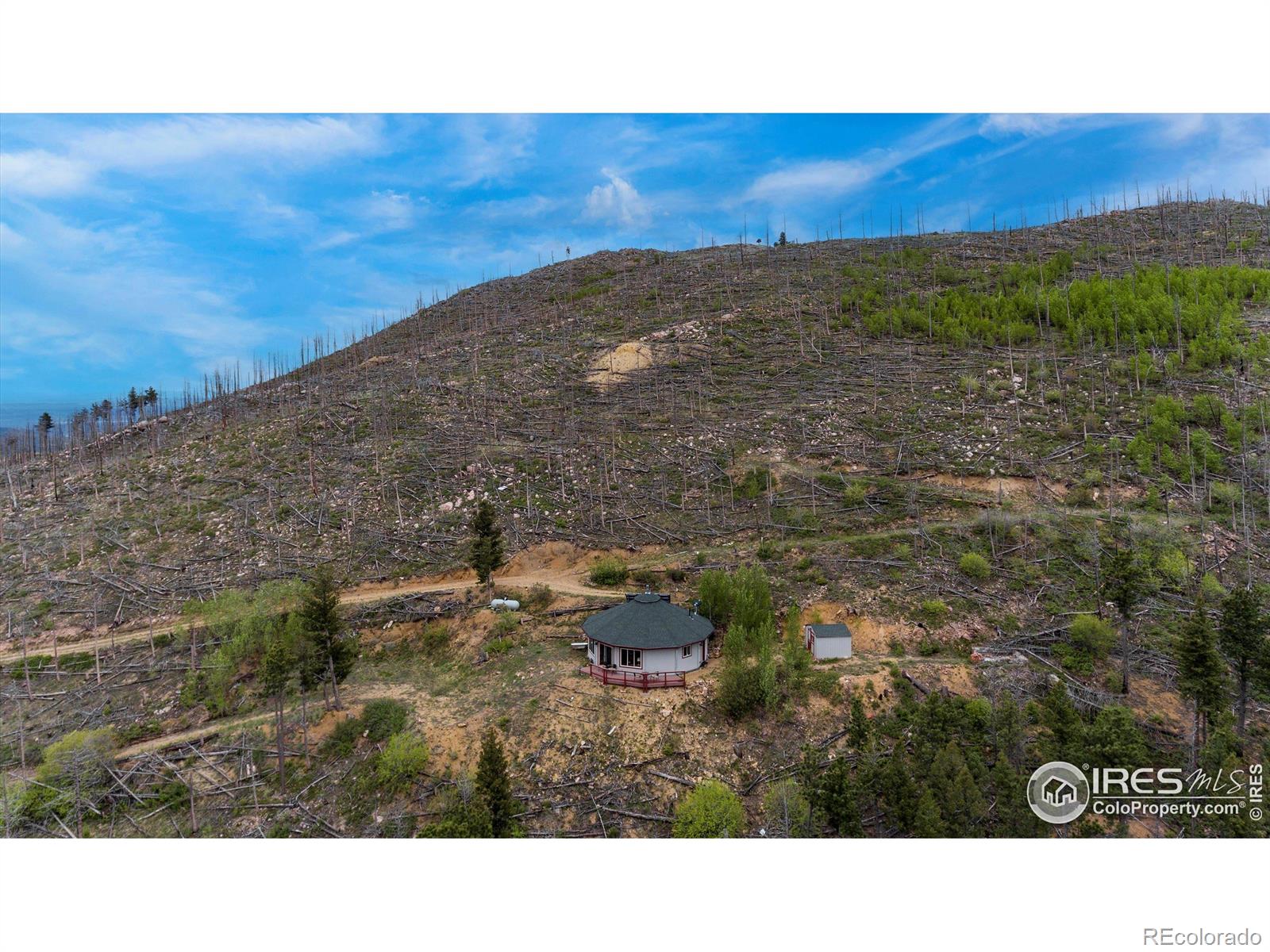 MLS Image #31 for 1629  gold run road,boulder, Colorado