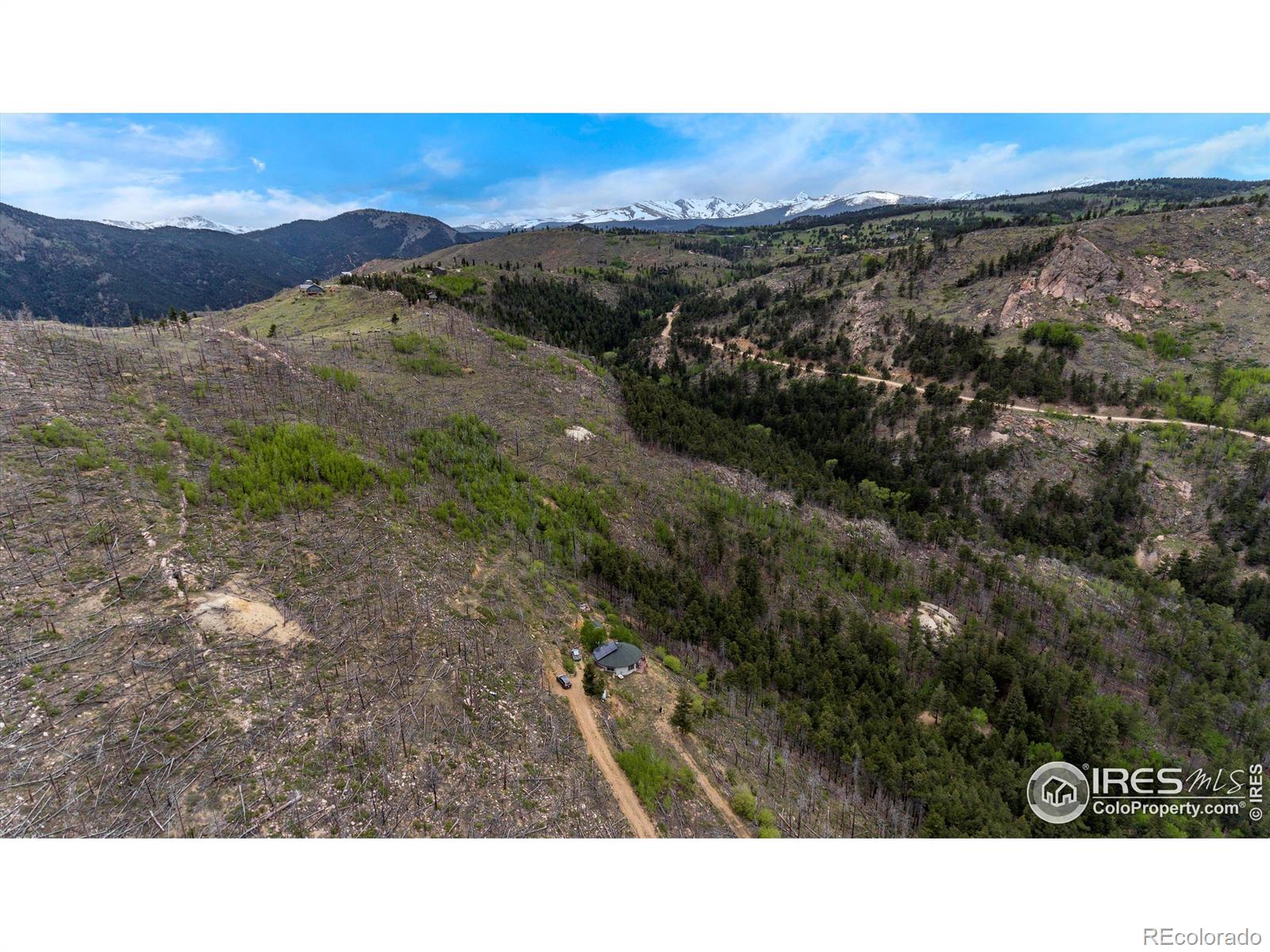 MLS Image #37 for 1629  gold run road,boulder, Colorado