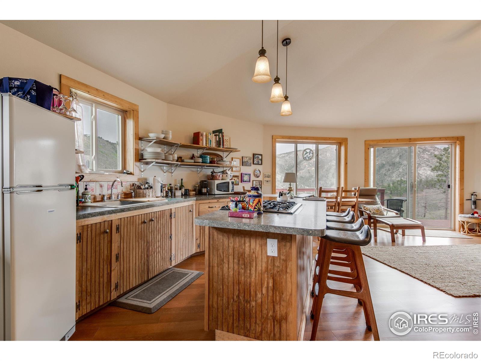 MLS Image #9 for 1629  gold run road,boulder, Colorado