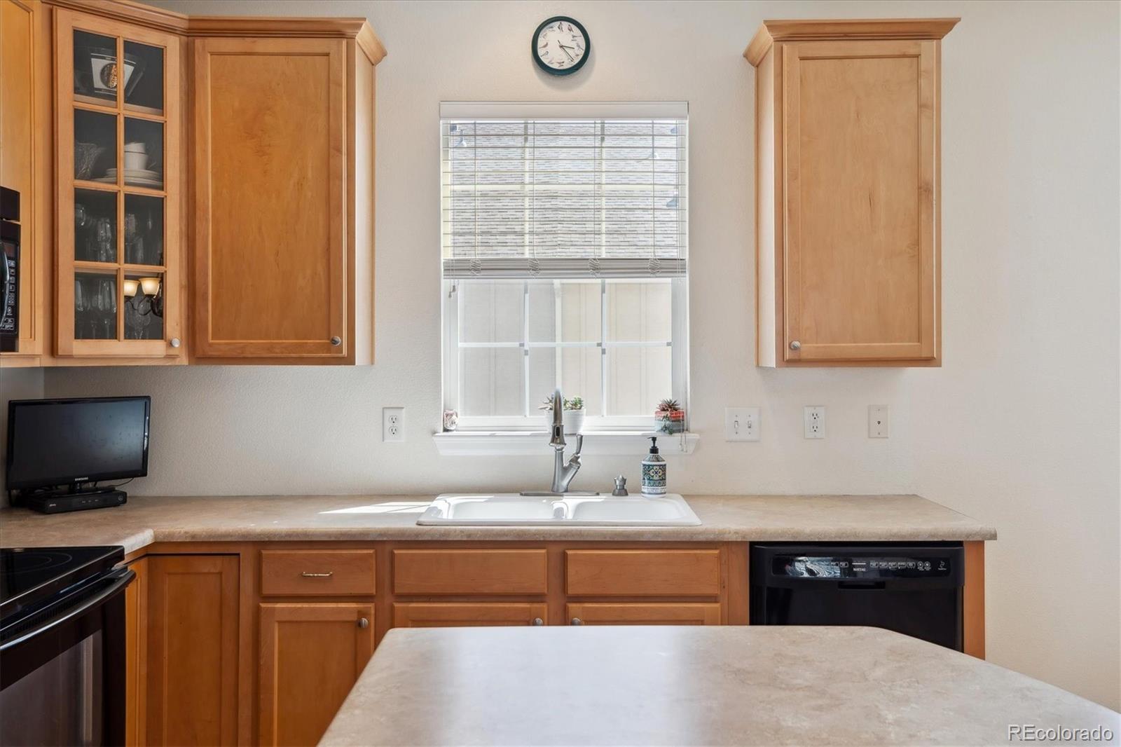 MLS Image #14 for 835  stony mesa place,castle rock, Colorado