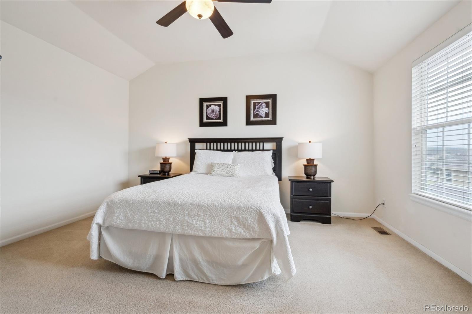 MLS Image #17 for 835  stony mesa place,castle rock, Colorado