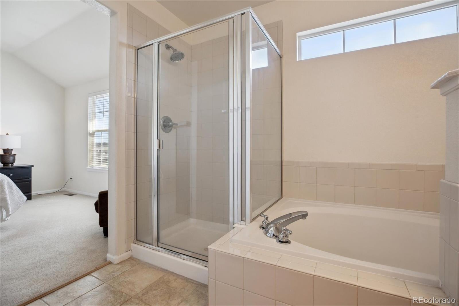 MLS Image #19 for 835  stony mesa place,castle rock, Colorado