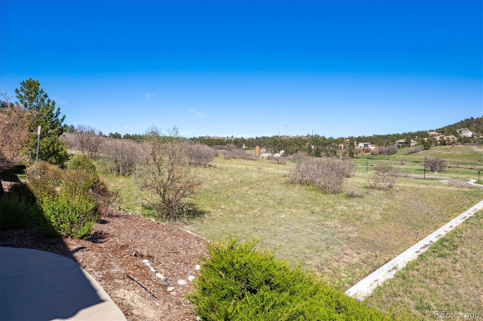 MLS Image #28 for 835  stony mesa place,castle rock, Colorado