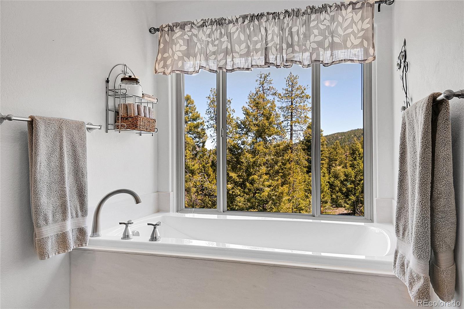 MLS Image #12 for 10786  marclif road,conifer, Colorado
