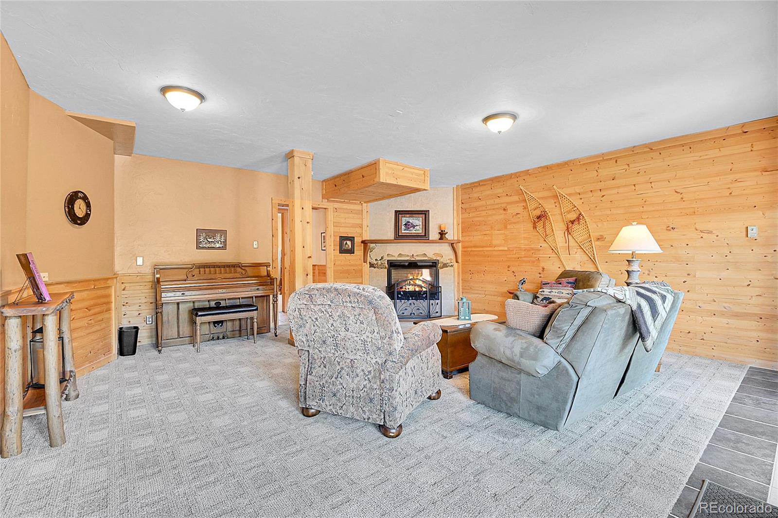 MLS Image #14 for 10786  marclif road,conifer, Colorado