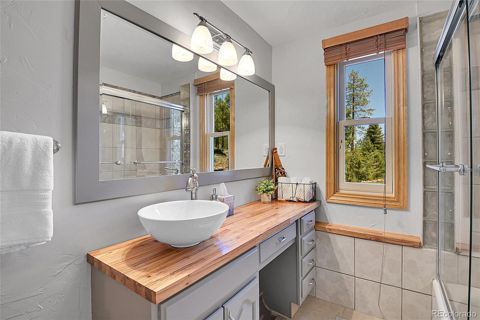 MLS Image #17 for 10786  marclif road,conifer, Colorado