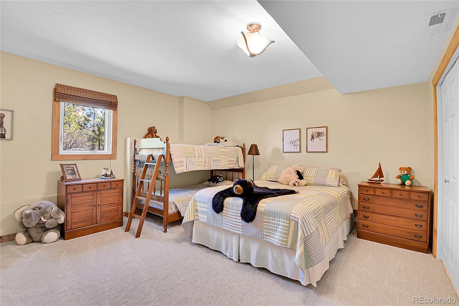 MLS Image #18 for 10786  marclif road,conifer, Colorado