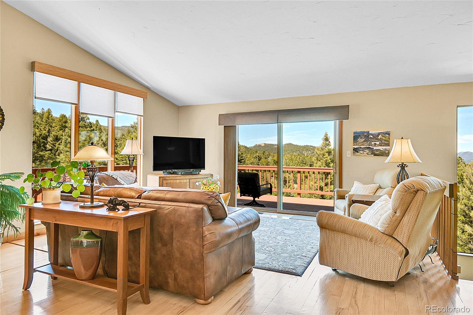 MLS Image #3 for 10786  marclif road,conifer, Colorado
