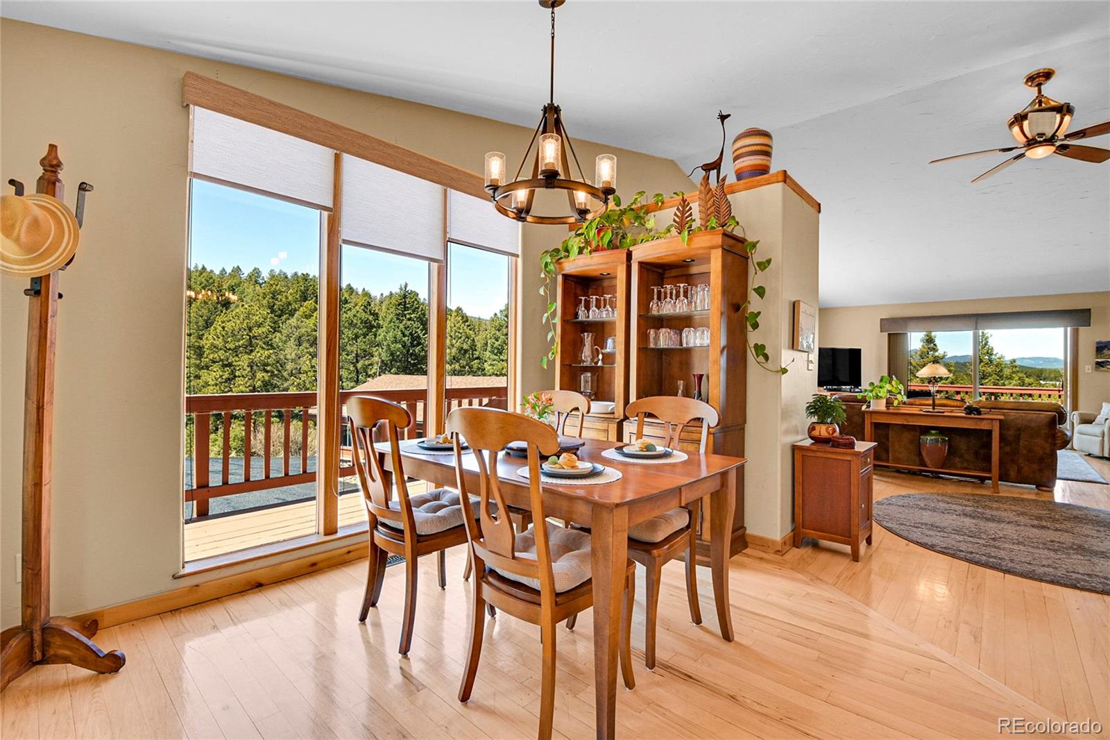 MLS Image #7 for 10786  marclif road,conifer, Colorado