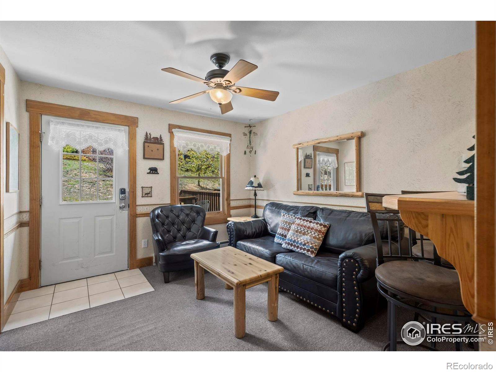 MLS Image #4 for 2625  marys lake road,estes park, Colorado