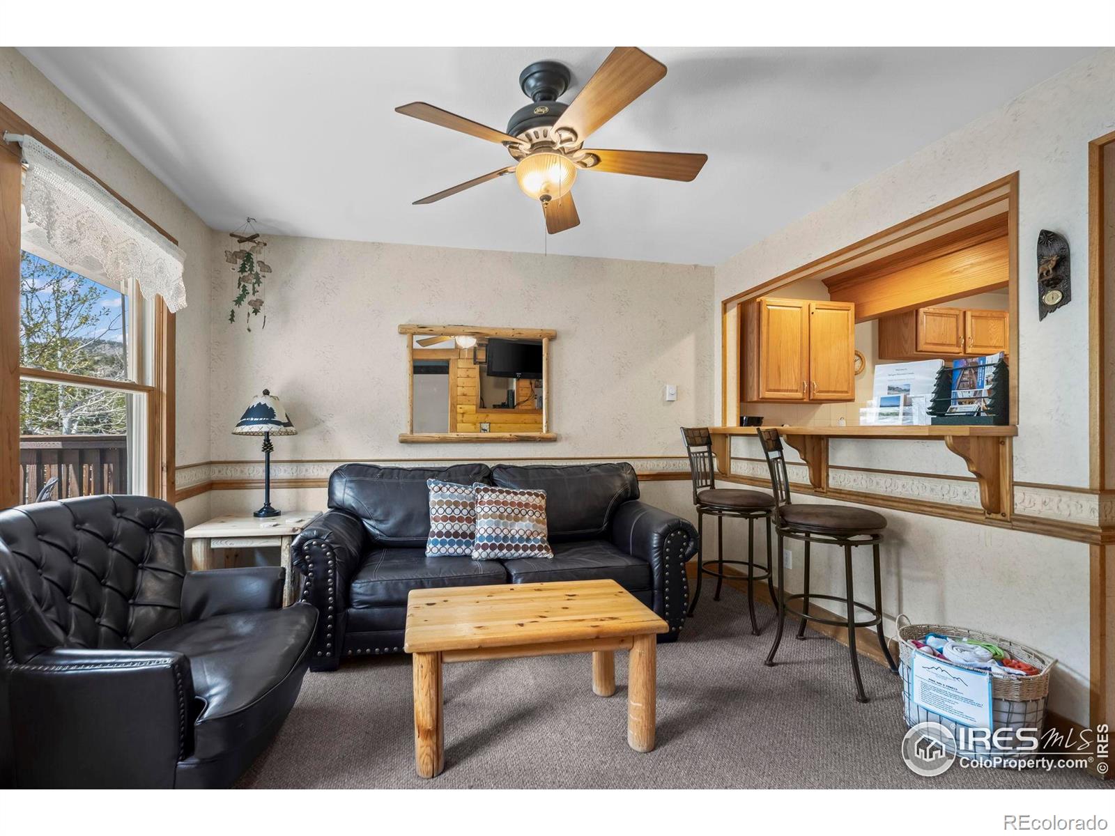 MLS Image #5 for 2625  marys lake road,estes park, Colorado