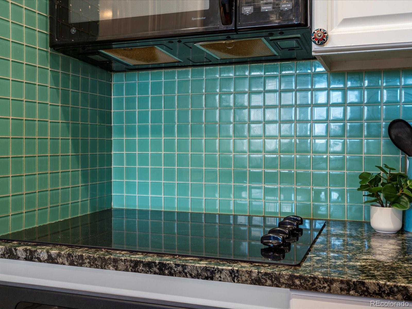 MLS Image #10 for 975 n lincoln street,denver, Colorado